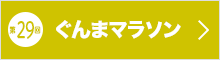 第29回ホームページ