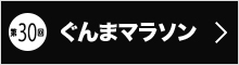 第30回ホームページ